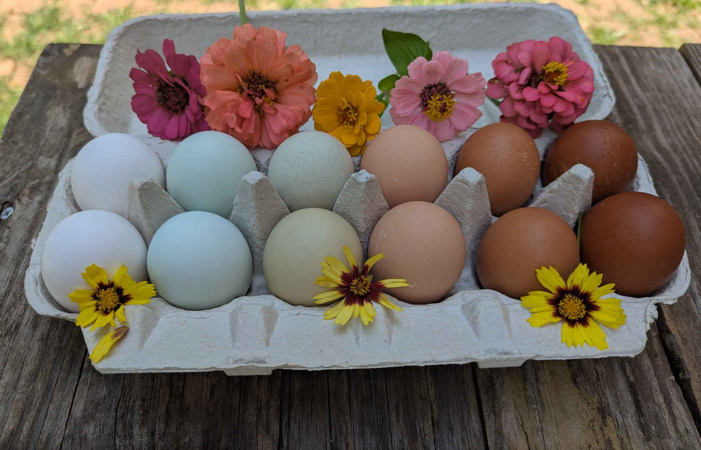 Eggs by the dozen
